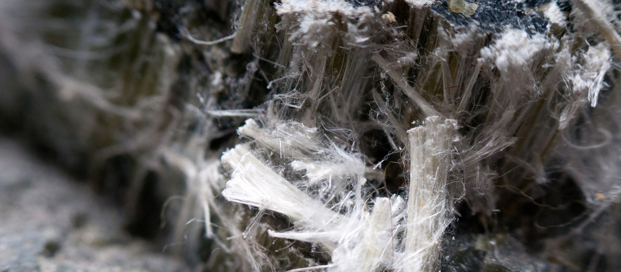 What To Do If You Are Exposed To Asbestos in Adelaide